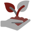 plant (1)